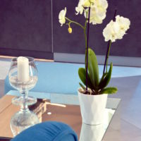 Facelove & Synergia - jedno z najbardziej nowoczesnych tego typu miejsc w kraju