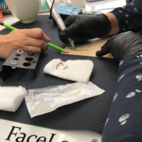 Szkolenie teoretyczne z zakresu makijażu permanentnego brwi